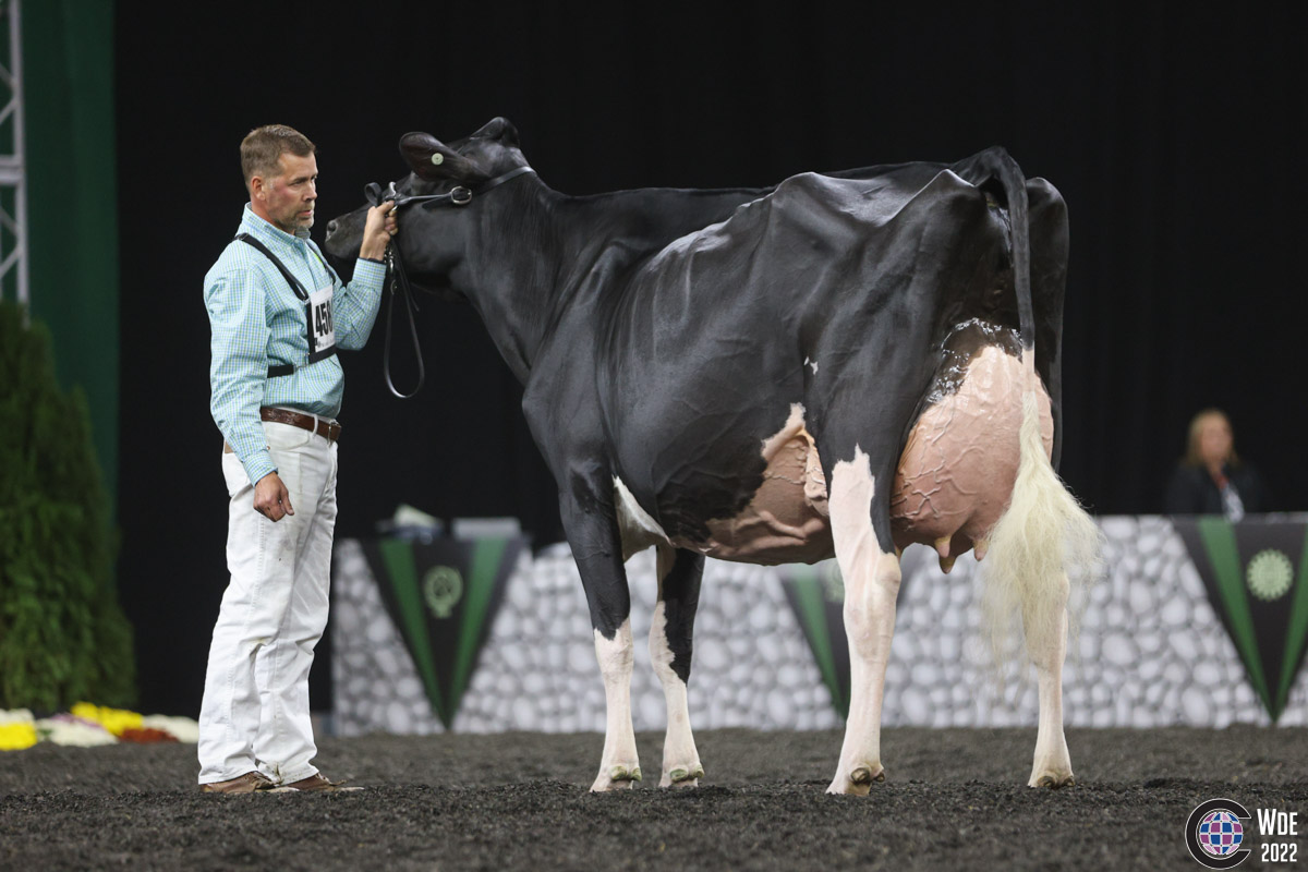 Oakfield Solomon Footloose wins Grand Champion WORLD DAIRY EXPO